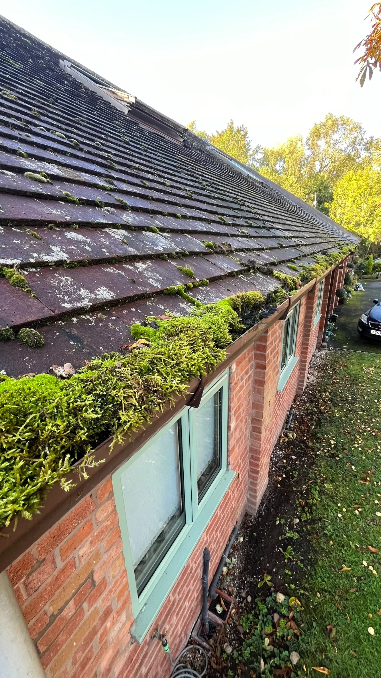Gutter packed with moss before SkyVac cleaning in Bromsgrove
