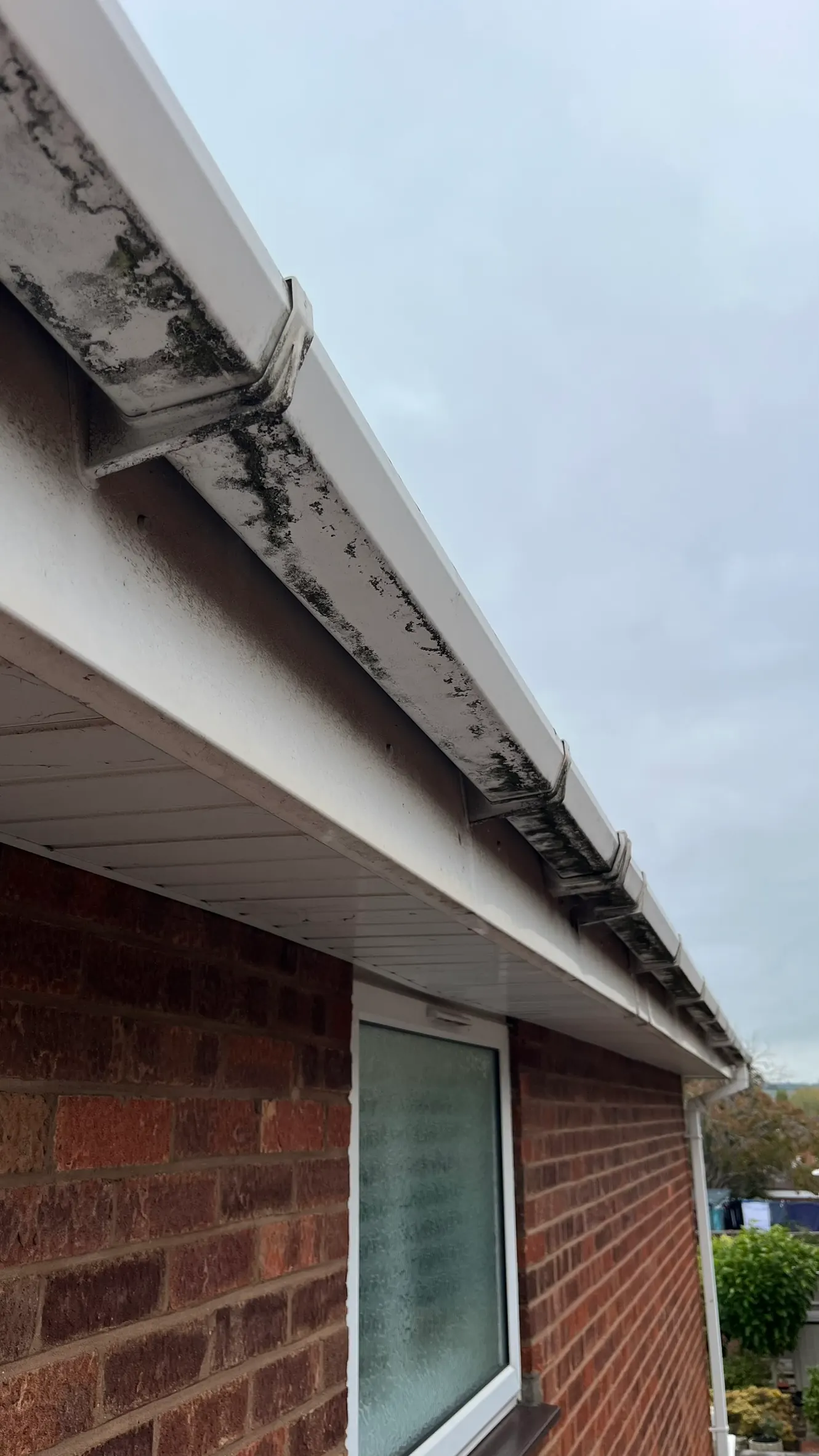 Fascia and gutter before cleaning