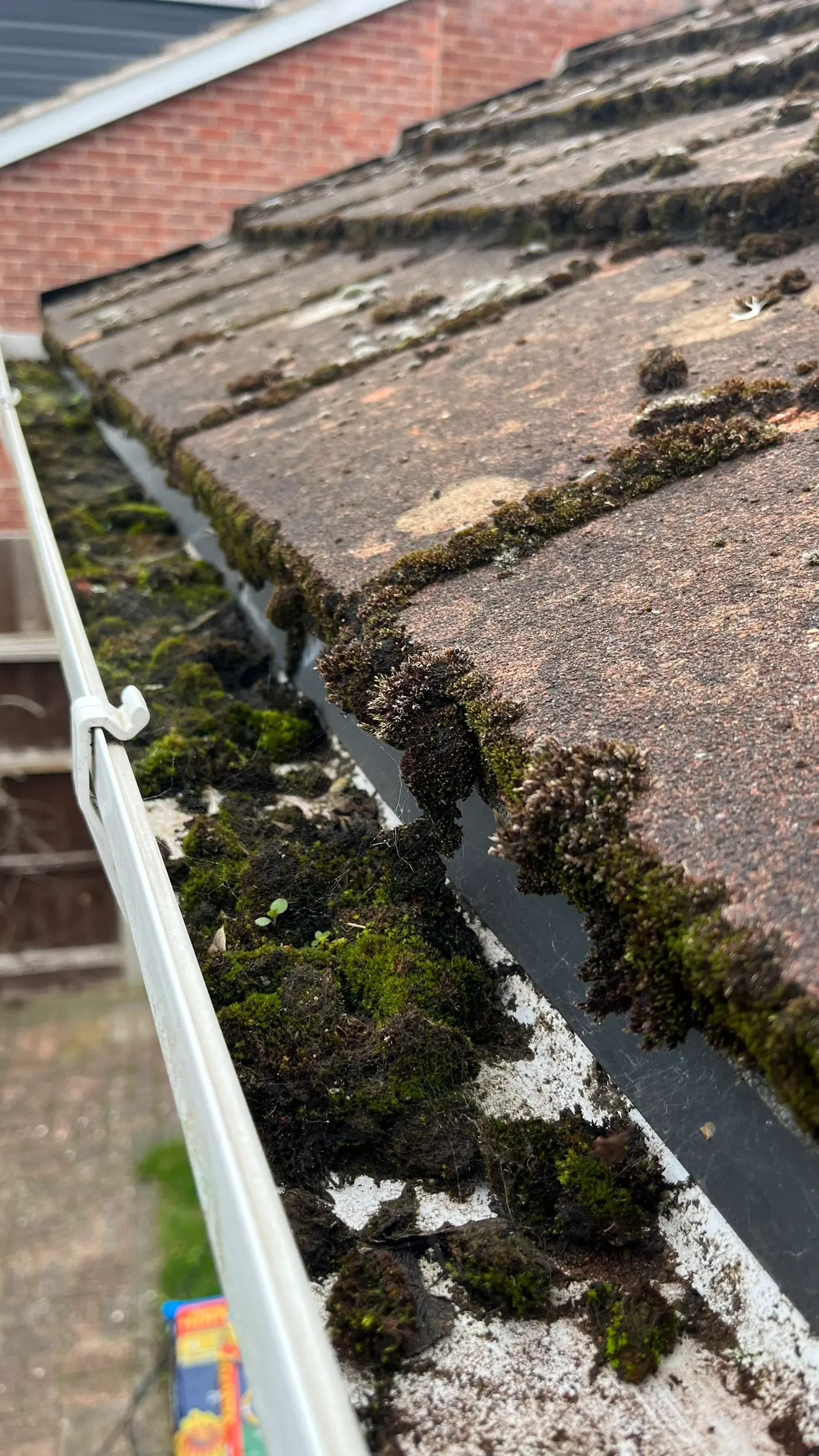 Moss-packed gutter before vacuum cleaning