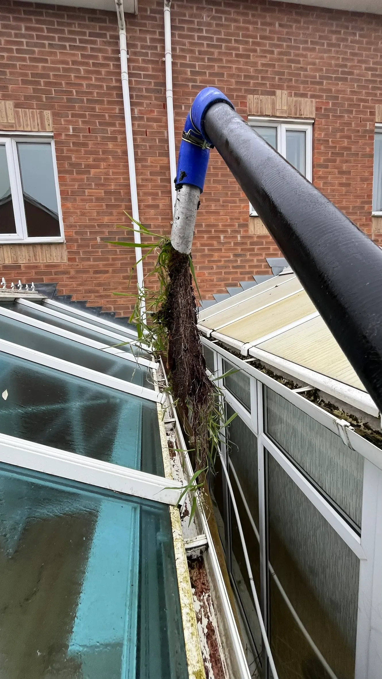 SkyVac pole pulling roots and moss from a gutter in Bromsgrove